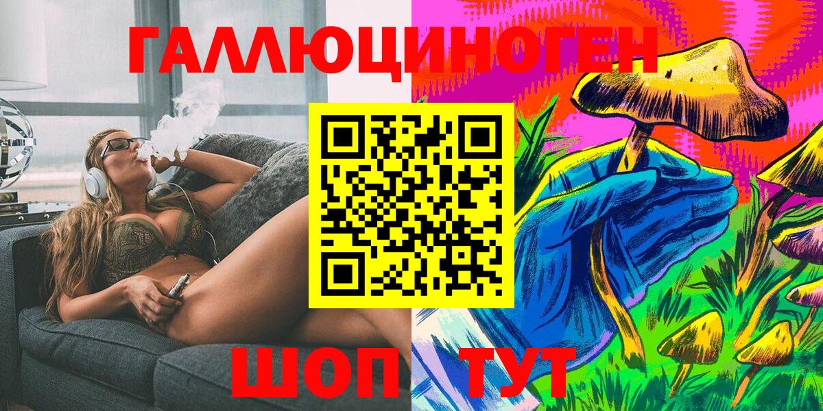 Гатчина  Галлюциногенные грибы Psilocybe  Вход с VPN 