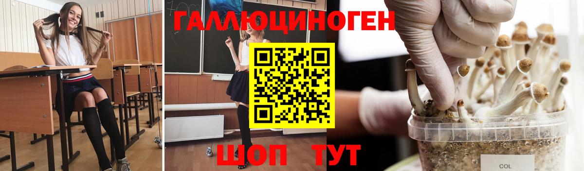 Галлюциногенные грибы GOLDEN TEACHER Гатчина